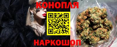гашик Лесосибирск