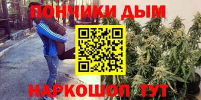 гашик Лесосибирск