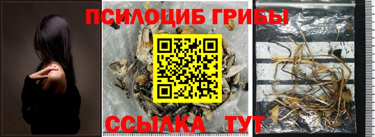 Псилоцибиновые грибы мицелий Всеволожск